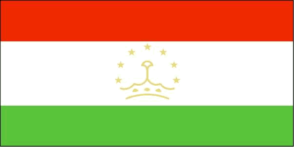 Flag Of Tajikistan 