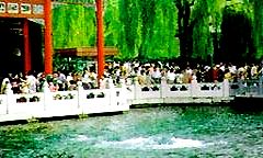 Baotu (Leaping) Spring in Shandong