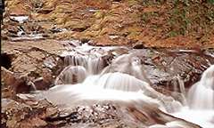 Akame 48 Waterfalls in Chubu