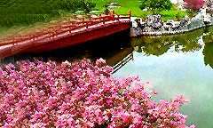 Japanese Garden in Perak