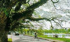 Taiping Lake Gardens in Perak