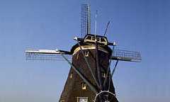 Windmills in Amsterdam