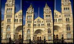 Natural History Museum in London