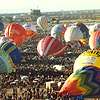 Hot Air Baloon Festival